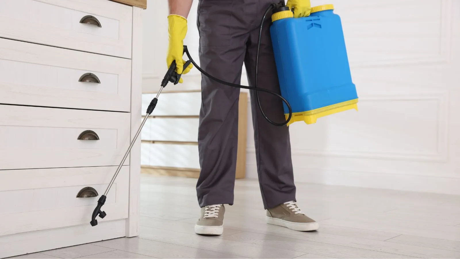 Pest control worker spraying insecticide indoors, closeup
